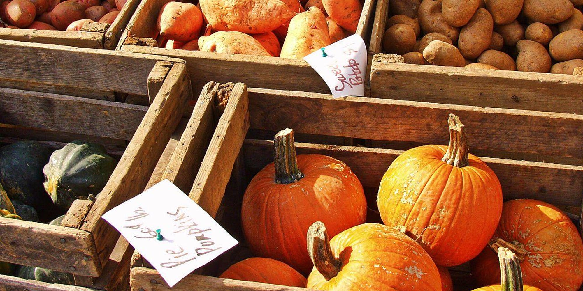 Ayurveda and Seasonal Eating Santa Cruz Ayurveda