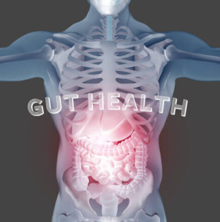 Why heal the gut?