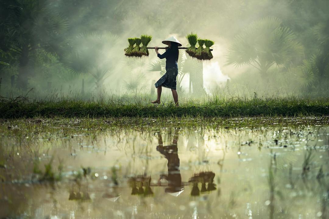 Long-Term Fasting in Ayurveda: Benefits, Guidelines, and Cautions