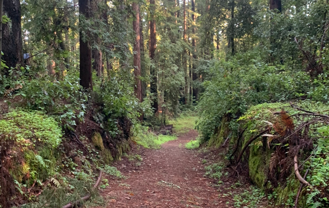 Hiking & Nature as Kapha Medicine