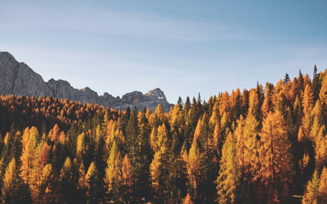 Welcoming the Equinox: Ayurvedic Wisdom for the Season of Balance